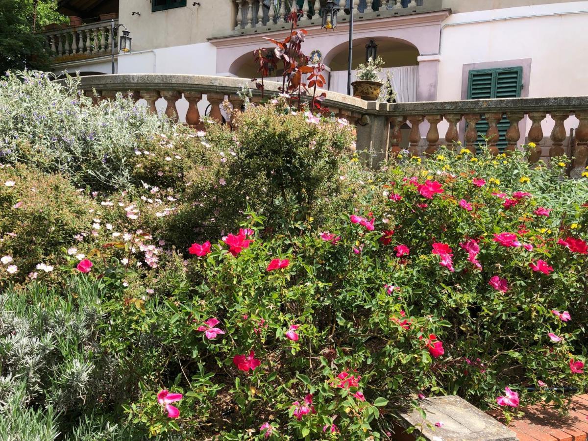 Villa Baronzola Montevarchi Eksteriør billede