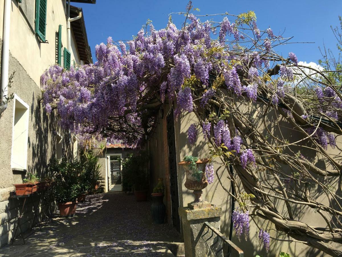 Villa Baronzola Montevarchi Eksteriør billede