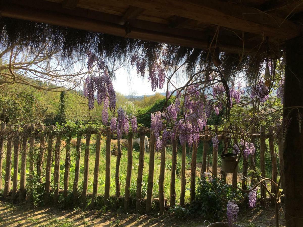 Villa Baronzola Montevarchi Eksteriør billede